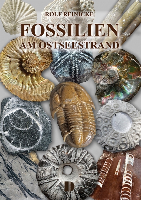 Fossilien am Ostseestrand - Rolf Reinicke