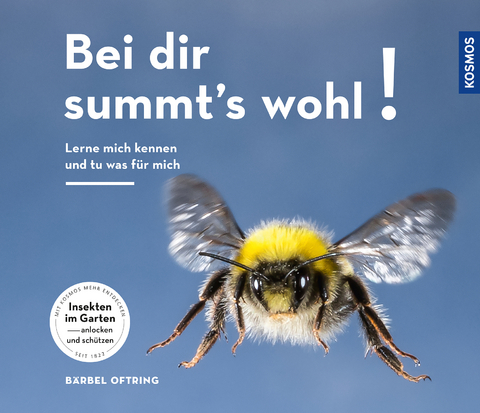 Bei Dir summts wohl - B&auml;rbel Oftring