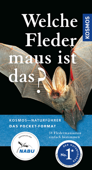 Welche Fledermaus ist das?