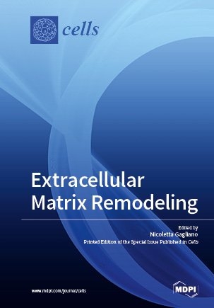 Extracellular Matrix Remodeling