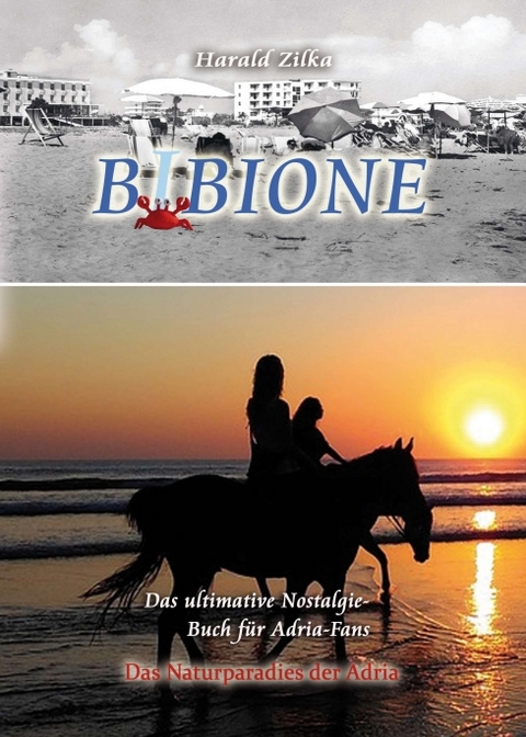 BIBIONE - Das ultimative Fanbuch - Harald Zilka
