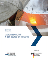 Energieflexibilit&auml;t in der deutschen Industrie - 