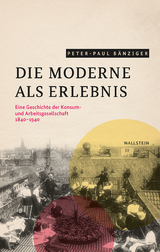 Die Moderne als Erlebnis - Peter Paul B&auml;nziger