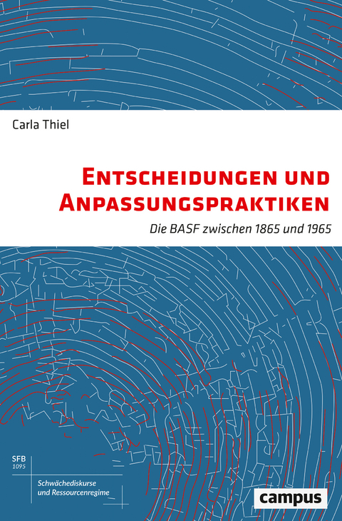 Entscheidungen und Anpassungspraktiken - Carla Thiel