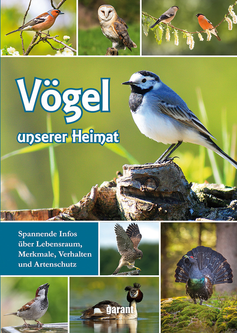 V&ouml;gel unserer Heimat