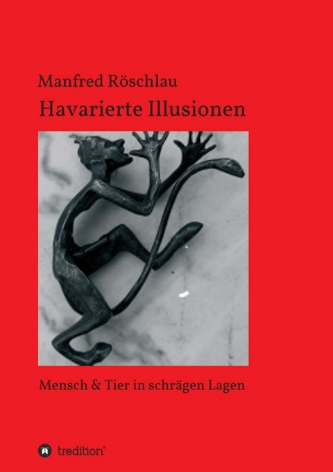 Havarierte Illusionen - Manfred Röschlau