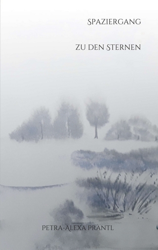 Spaziergang zu den Sternen