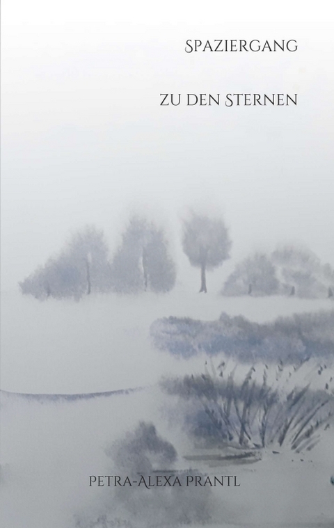 Spaziergang zu den Sternen - Petra-Alexa Prantl