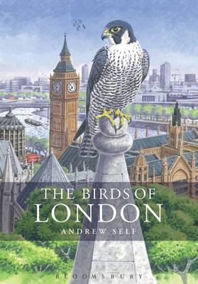 Birds of London -  Andrew Self