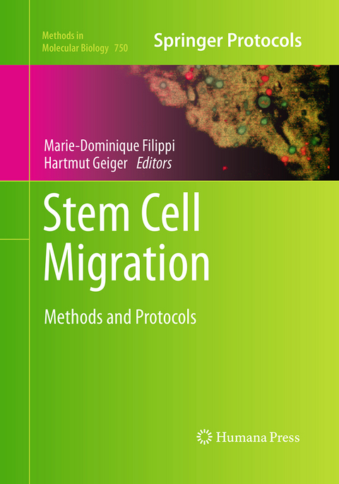 Stem Cell Migration - 