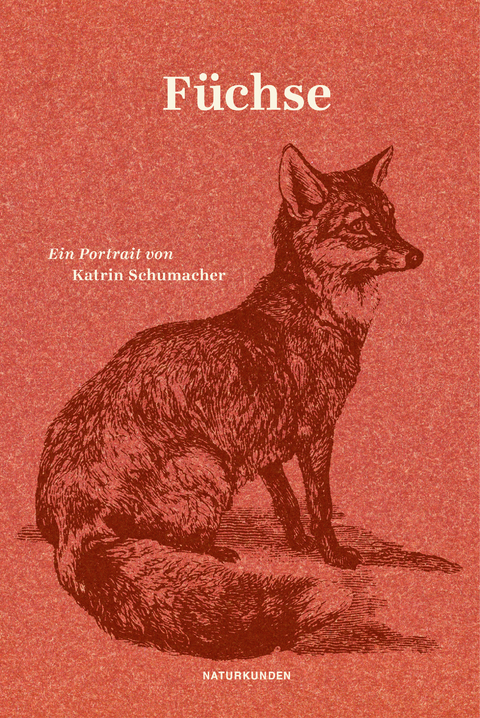 Füchse - Katrin Schumacher