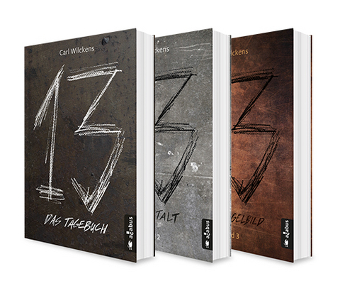 Dreizehn Band 1-3: Das Tagebuch / Die Anstalt / Das Spiegelbild - Carl Wilckens