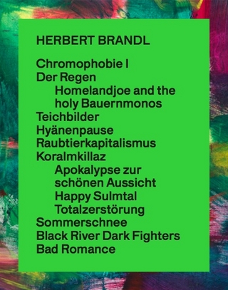 Herbert Brandl. Exposed to Painting. Die letzten 20 Jahre / The past 20 years