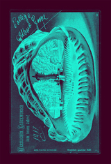 The Fountain M&eacute;moire - Daniel Martin Feige, Susanne M. I. Kaufmann, Nicola Lepp, Michal B. Ron, Werner Reiterer