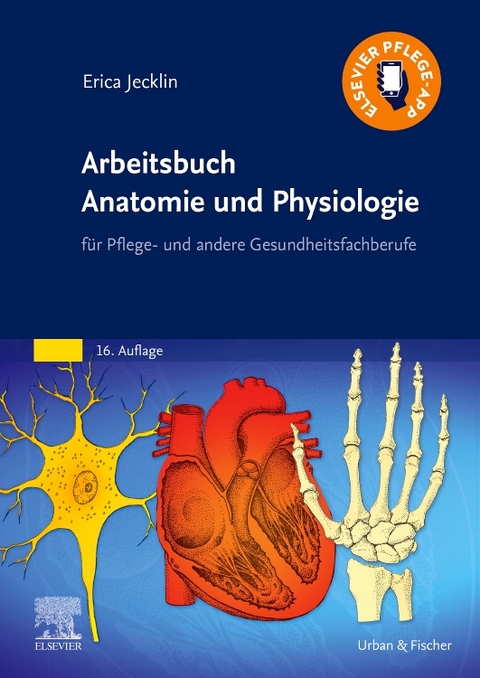 Arbeitsbuch Anatomie und Physiologie - Erica Br&uuml;hlmann-Jecklin