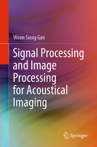 Signal Processing and Image Processing for Acoustical Imaging