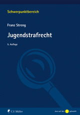 Jugendstrafrecht - Streng, Franz