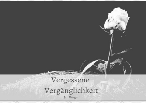 Vergessene Verg&auml;nglichkeit - Jan Bittger