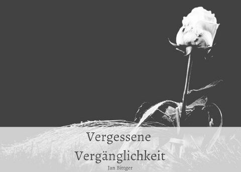 Vergessene Verg&auml;nglichkeit - Jan Bittger