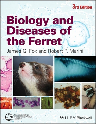 Biology and Diseases of the Ferret