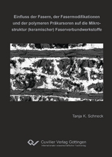 Einfluss der Fasern, der Fasermodifikationen und der polymeren Pr&auml;kursoren auf die Mikrostruktur (keramischer) Faserverbundwerkstoffe - Tanja K. Schneck