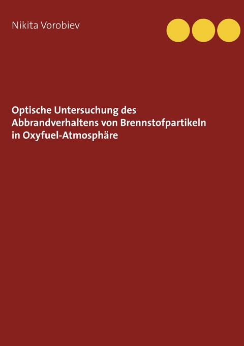 Optische Untersuchung des Abbrandverhaltens von Brennstoffpartikeln in Oxyfuel-Atmosph&auml;re - Nikita Vorobiev
