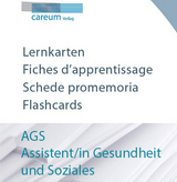 AGS Lernkarten (inkl. E-Book f&uuml;r Glossarkarten)