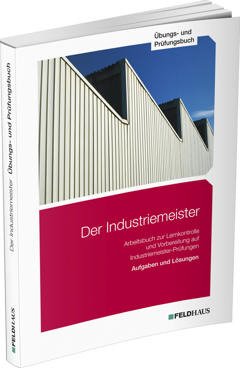 Der Industriemeister / Übungs- und Prüfungsbuch - Sven H. Gold, Jan Glockauer, Elke Schmidt-Wessel, Frank Wessel