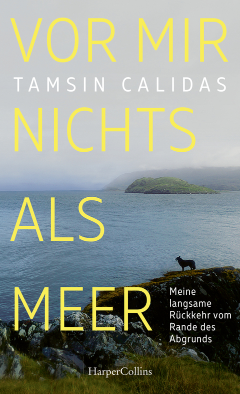 Vor mir nichts als Meer &ndash; Meine langsame R&uuml;ckkehr vom Rande des Abgrunds - Tamsin Calidas
