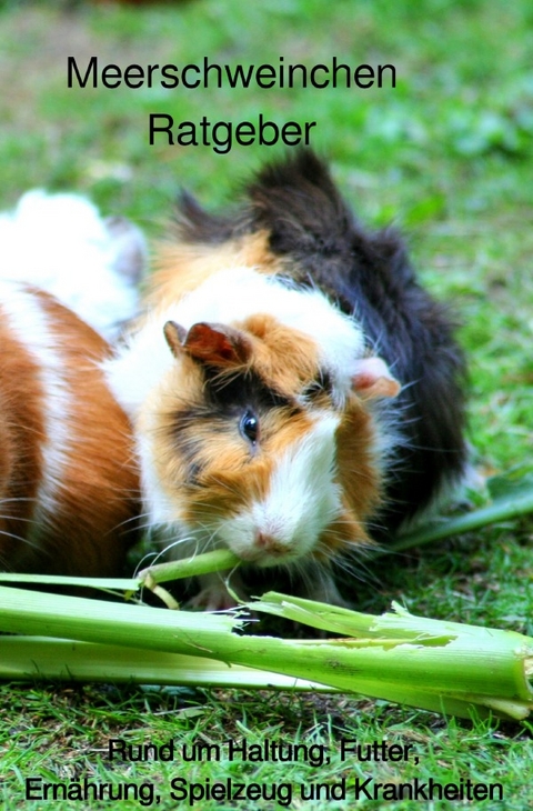 Meerschweinchen Ratgeber. - Powerlifting Check