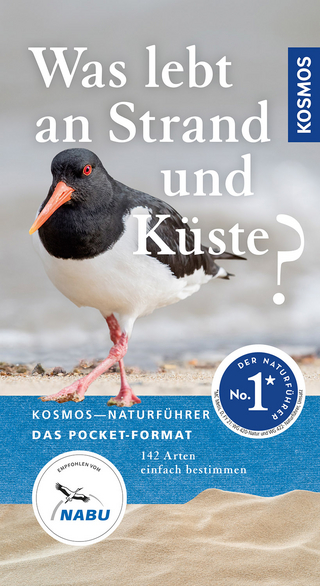Was lebt an Strand und Küste?