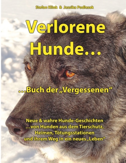 Verlorene Hunde...Buch der Vergessenen - Stefan Klink, Jessika Podlesak