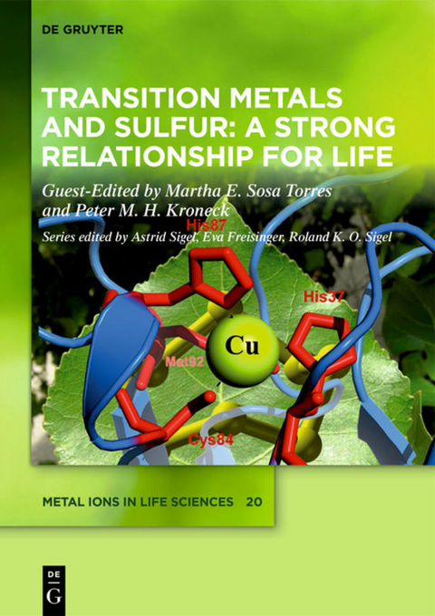 Transition Metals and Sulfur &ndash; A Strong Relationship for Life - 