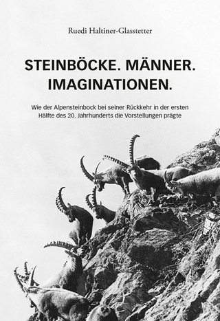Steinböcke. Männer. Imaginationen.