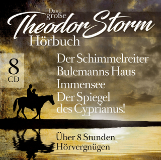 Das Große Theodor Storm Hörbuc