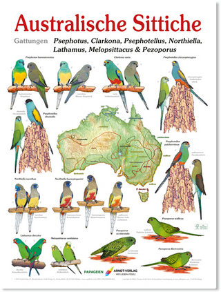 Poster Australische Sittiche 3