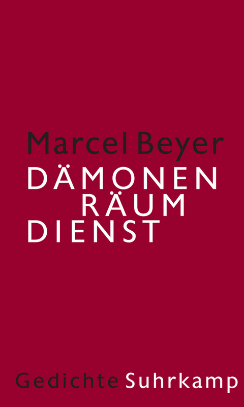 D&auml;monenr&auml;umdienst - Marcel Beyer