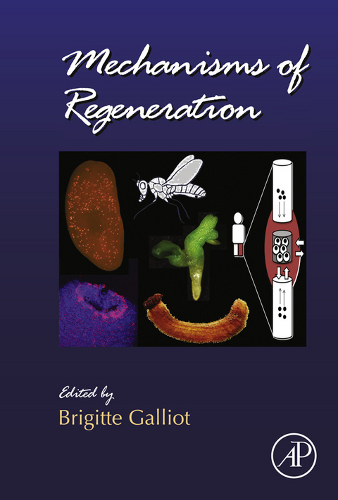 Mechanisms of Regeneration - 