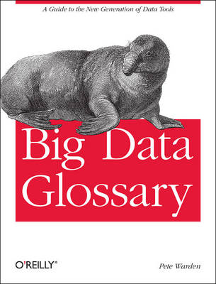 Big Data Glossary -  Pete Warden