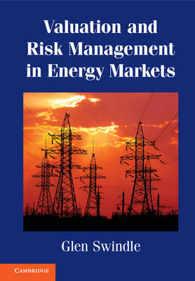 Valuation and Risk Management in Energy Markets -  Glen Swindle