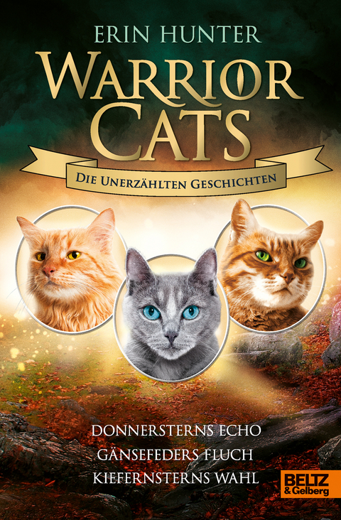 Warrior Cats - Die unerz&auml;hlten Geschichten - Erin Hunter