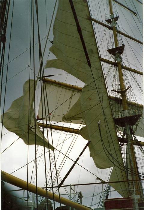 ELIZABETHA - Wolf-Ulrich Cropp