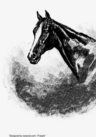 Klassisch schönes Notizbuch punktiert dotted 68 Seiten Businessplaner Geschenkidee für Mann Frau und Kind