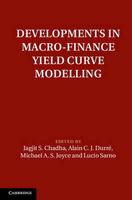 Developments in Macro-Finance Yield Curve Modelling - 