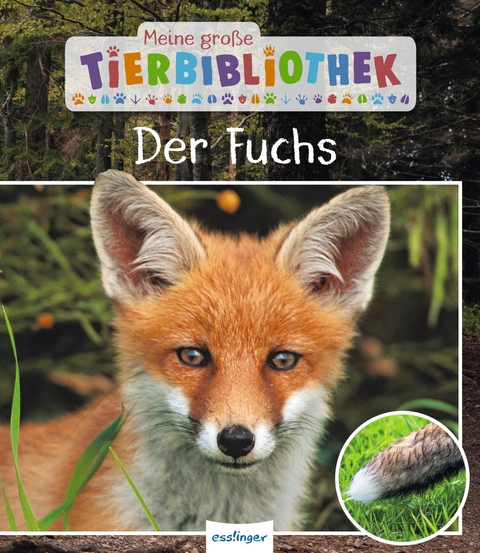 Meine gro&szlig;e Tierbibliothek: Der Fuchs - Christian Havard