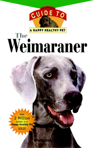 The Weimaraner