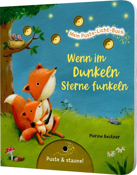 Mein Puste-Licht-Buch: Wenn im Dunkeln Sterne funkeln - Christina N&ouml;mer