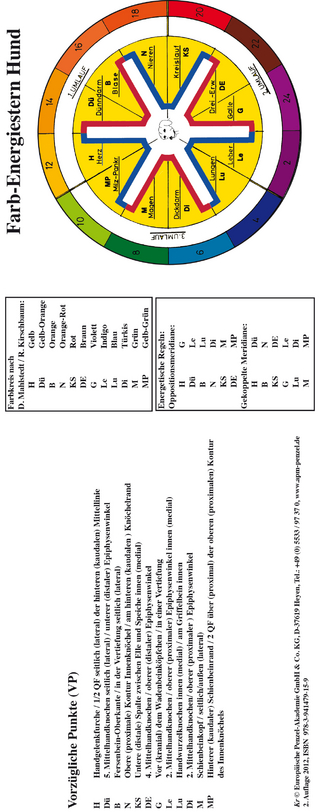Farb-Energiestern Hund