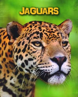 Jaguars -  Charlotte Guillain
