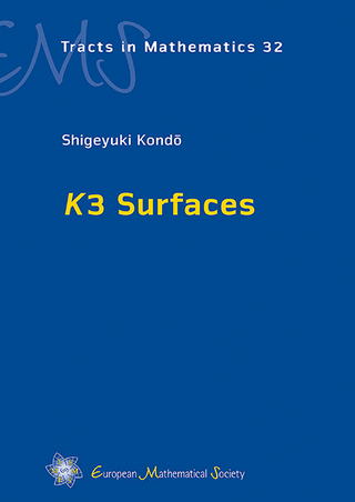 K3 Surfaces